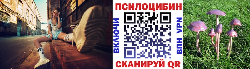 Псилоцибиновые грибы прущие грибы  Купить закладки  Урус-Мартан 